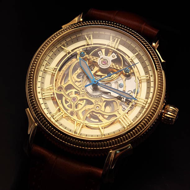 Luxury mechanical wristwatch